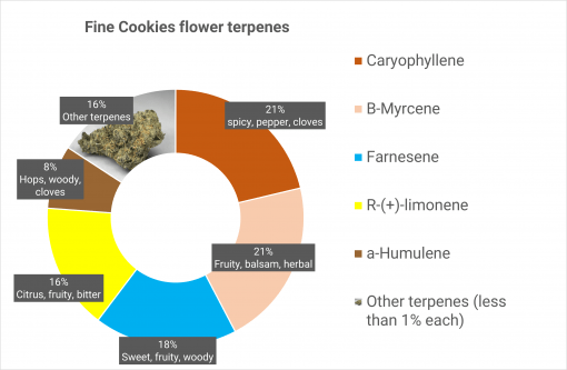 Fine Cookies - Dried Flower - Image 4