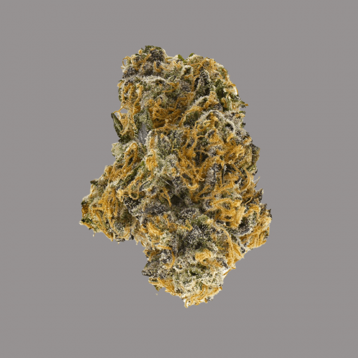 Dried cannabis flower.