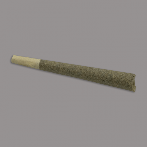 Chameleon - Pre Rolls - Image 3